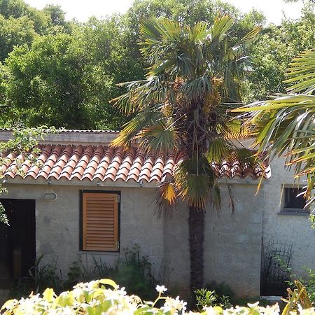 Apartment Tomato Pula Chambre photo